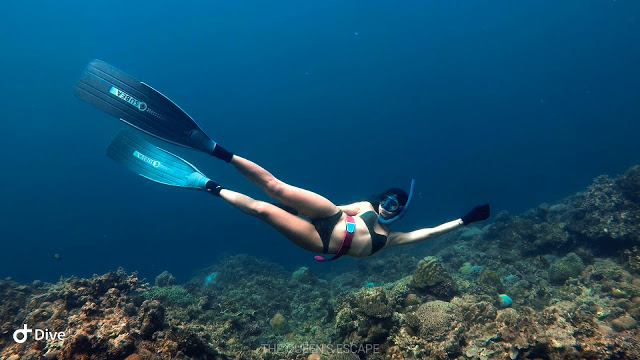 a female freediver underwater