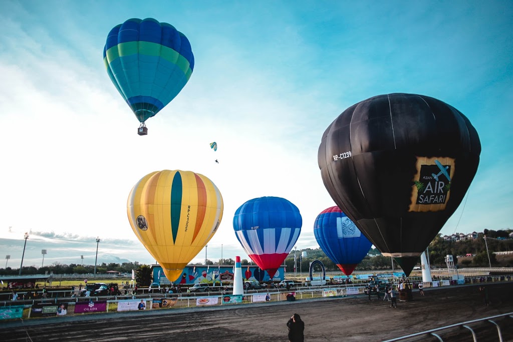 hot air balloons on the ground