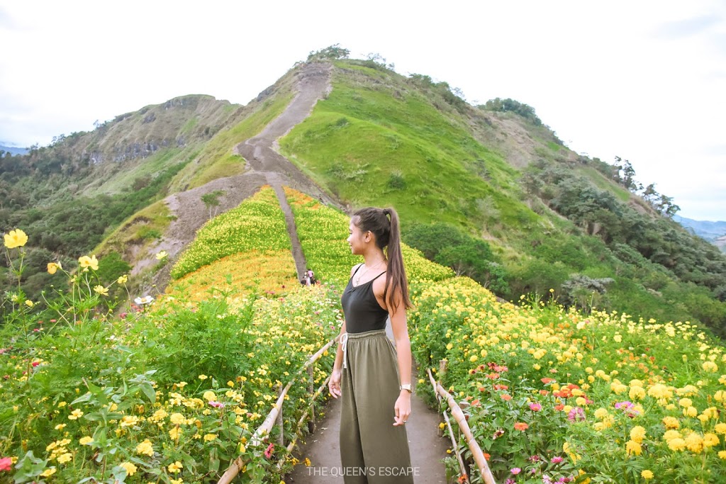A lady standing in the middle of flower garden in green rolling hills