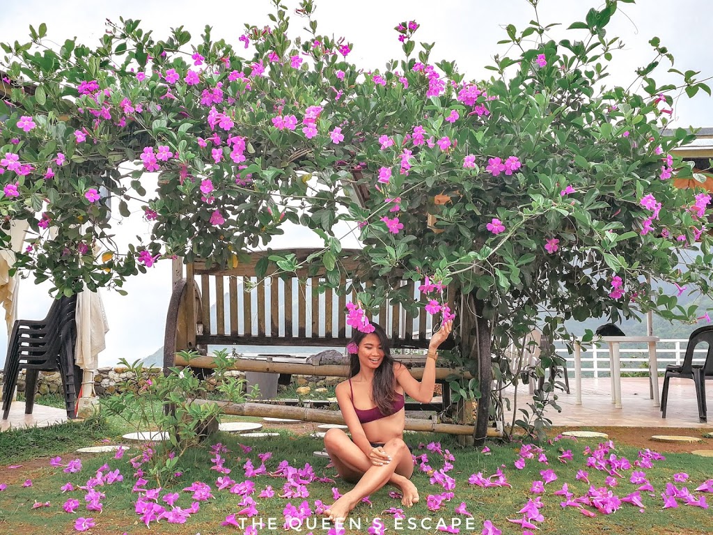 a girl sitting under a bougainvillea tree with pinkish purple flowers