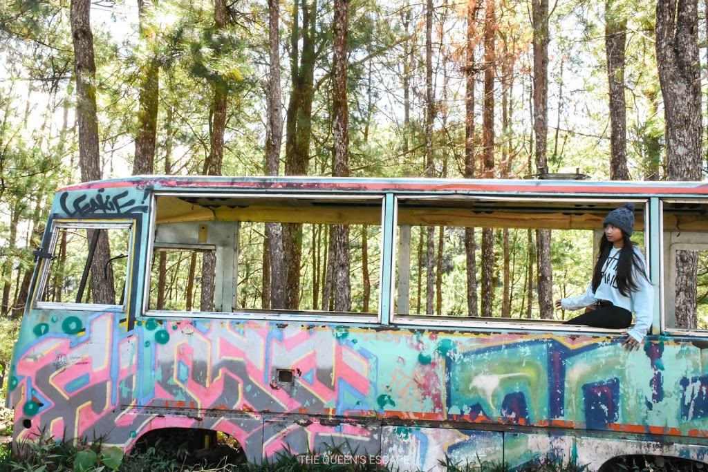 a bus with graffiti all over in a woods