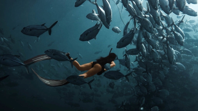 a female freediver swimming among the school of jackfish