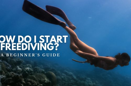 How to Start Freediving Cover hoto