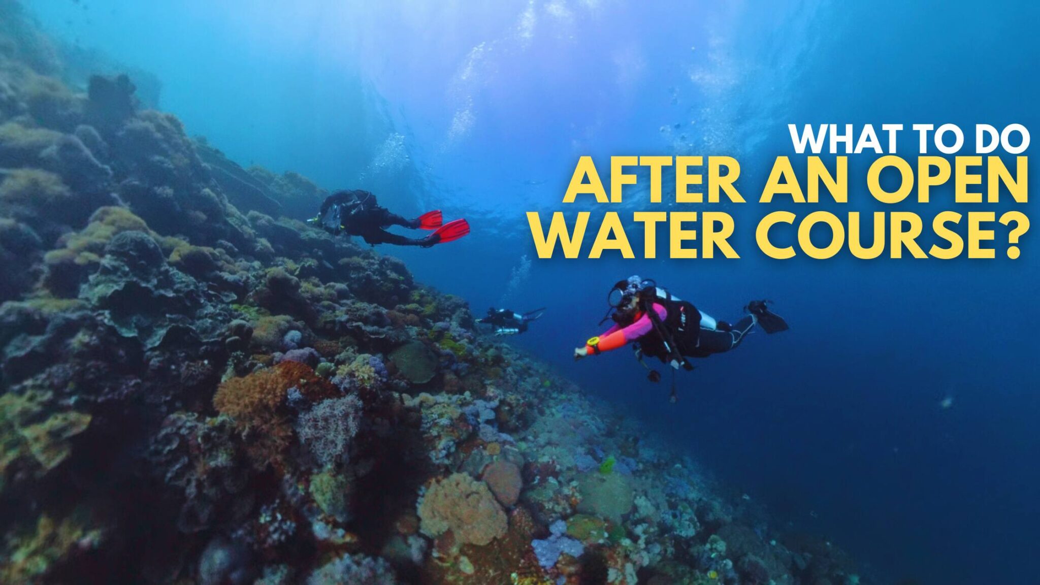 Water Course Guide What to Do After an Open Water Course? - The Queen's Escape