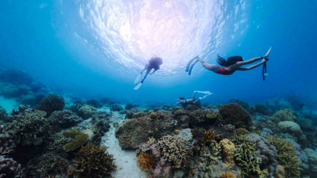 Freediving into Sambawan island's marine sanctuary
